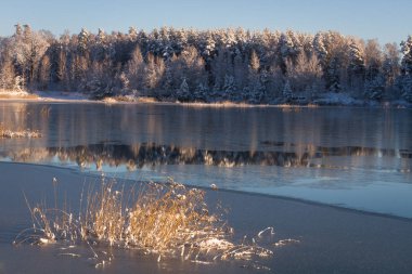 göl yansıması ile kış manzara