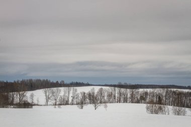 kış sezonu karlı manzara