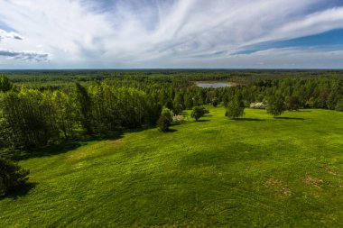 Yeşil gökyüzü ve bulutlu yaz manzarası