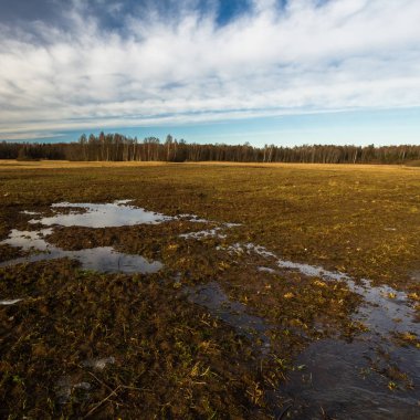 İlkbaharda su altında kalmış tahıl tarlaları