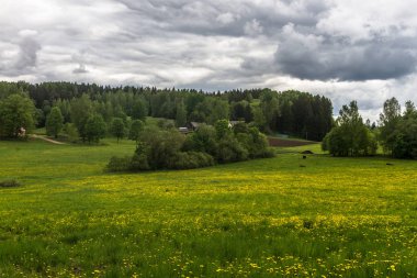 Bulutlu yeşil çayırlar 