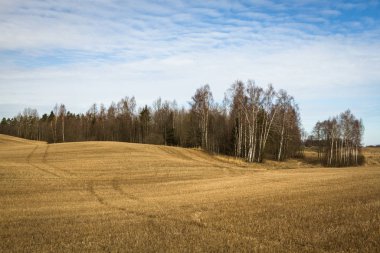 İlkbaharın başlarında bulutlu tarlalar ve çayırlar