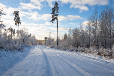 Dağlarda kış yolu.