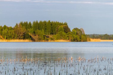 Güzel manzara nehir ve orman