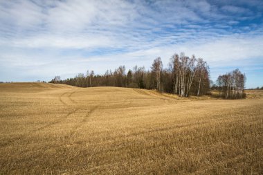 İlkbaharın başlarında bulutlu tarlalar ve çayırlar