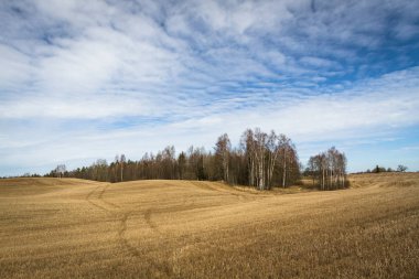 İlkbaharın başlarında bulutlu tarlalar ve çayırlar