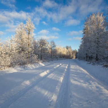 Kış manzaraları. Karla kaplı ağaçlar. Her yer beyaz. Soğuk hava. Güzel arkaplan görüntüleri. Uludağ, Bursa, İstanbul, Türkiye.