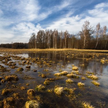 İlkbaharda su altında kalmış tahıl tarlaları