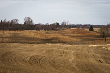 İlkbaharın başlarında bulutlu tarlalar ve çayırlar