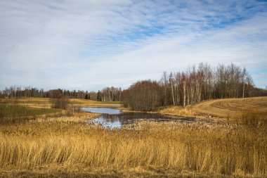 İlkbaharın başlarında bulutlu tarlalar