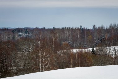 kış sezonu karlı manzara