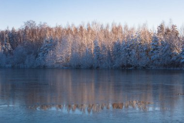 Sulak alanların kışın manzarası