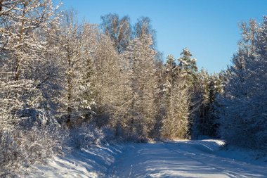 Parça kayaklar tarafından güzel ahşap arka plan mavi gökyüzü üzerinde kışın yaptı