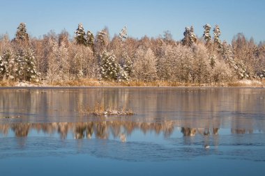 ilkbaharda yükselen nehirler düzeyde su. bol miktarda sel ile peyzaj.