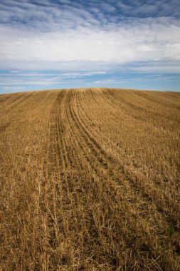 İlkbaharın başlarında bulutlu tarlalar