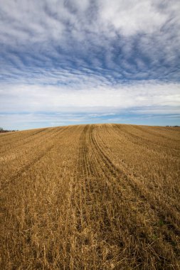 İlkbaharın başlarında bulutlu tarlalar