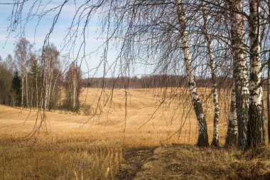 İlkbaharın başlarında bulutlu tarlalar ve çayırlar