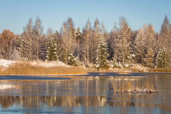 Rivière Non Gelée Sur Fond Forêt Hivernale — Photo