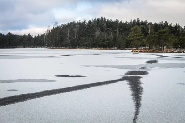 Rivière Gelée Dans Forêt Hiver — Photo