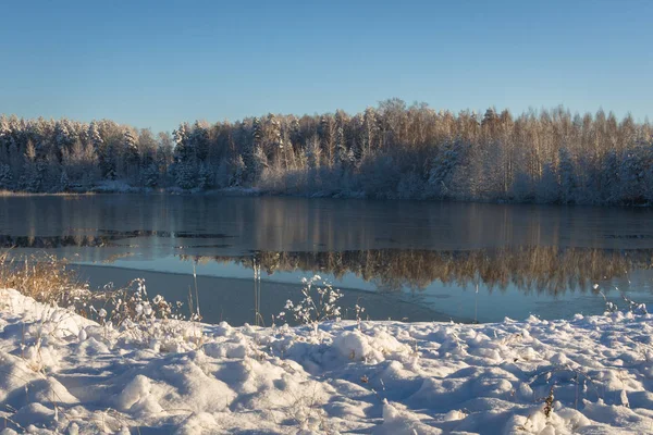 Beau Lac Dans Forêt Hiver — Photo