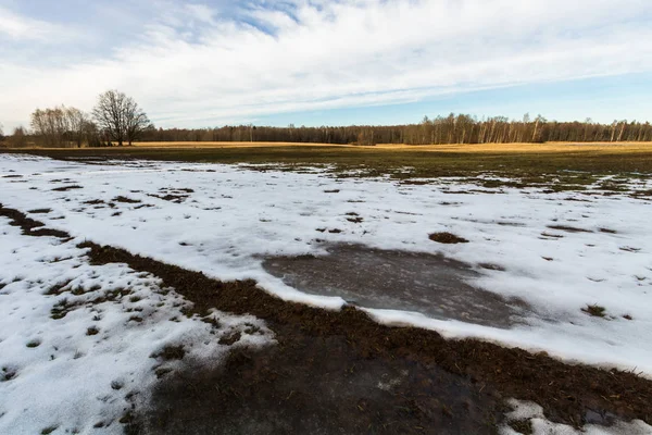 Flooded Cereal Fields Spring — Stock Photo, Image