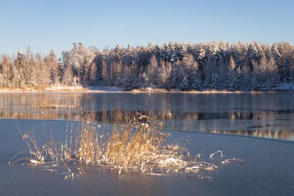 Vacker Solnedgång Vinterparken — Stockfoto