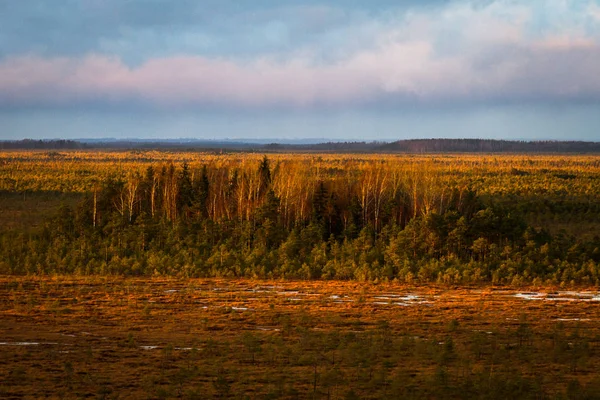 Beautiful North Landscape Daytime — Stock Photo, Image