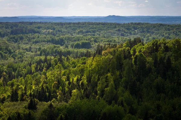 Красивый Вид Воздуха Лес — стоковое фото