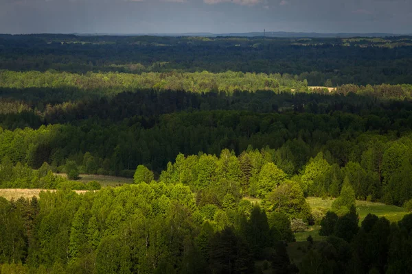 Hermoso Paisaje Verde Día Verano —  Fotos de Stock