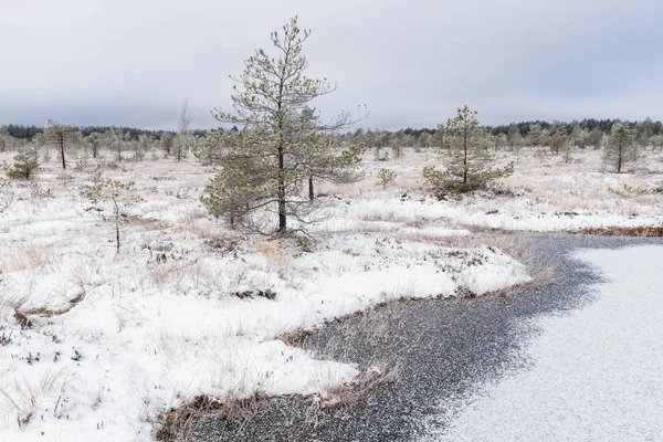 Snowy Landscape Winter Season — Stock Photo, Image