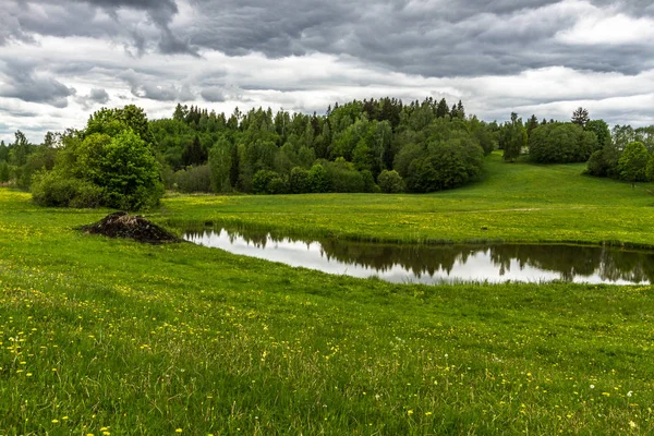 Prados Verdes Con Nubes — Foto de Stock