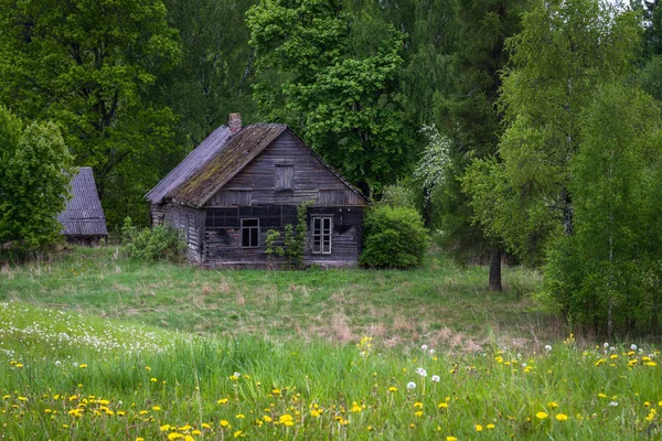 Staré Opuštěné Budovy Zeleném Lese — Stock fotografie