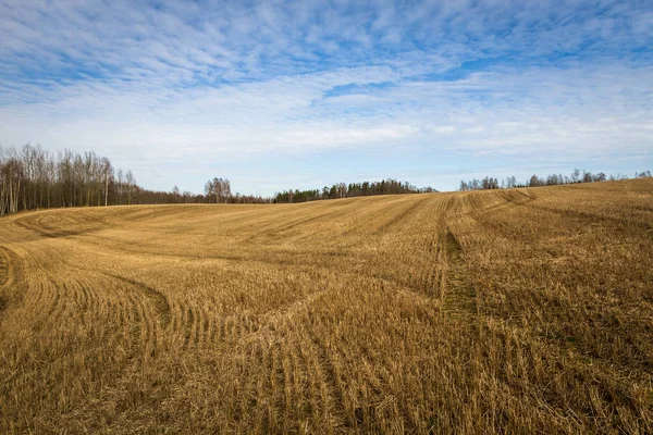 Fields Meadow Clouds Early Spring — Stock Photo, Image