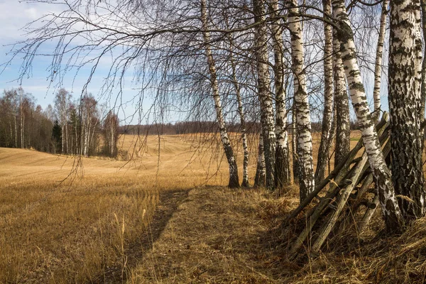 Fields Meadow Clouds Early Spring — Stock Photo, Image