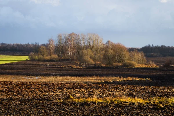 Cereal Field Autumn Dark Cloud — Stock Photo, Image