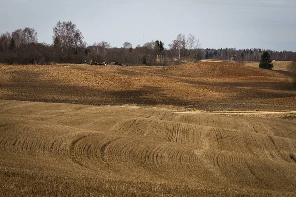 Fields Meadow Clouds Early Spring — Stock Photo, Image