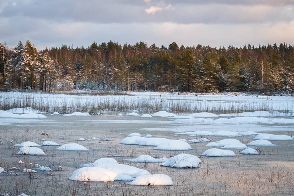 Холодное Озеро Зимой — стоковое фото