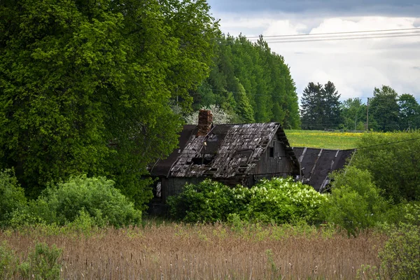 Antiguos Edificios Abandonados Bosque Verde — Foto de Stock