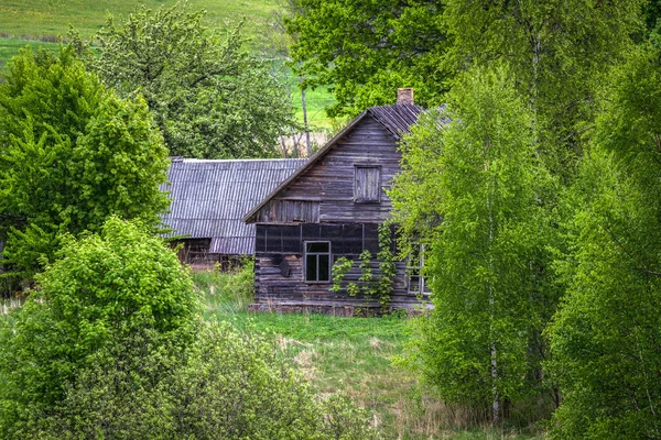 Старые Заброшенные Здания Зеленом Лесу — стоковое фото