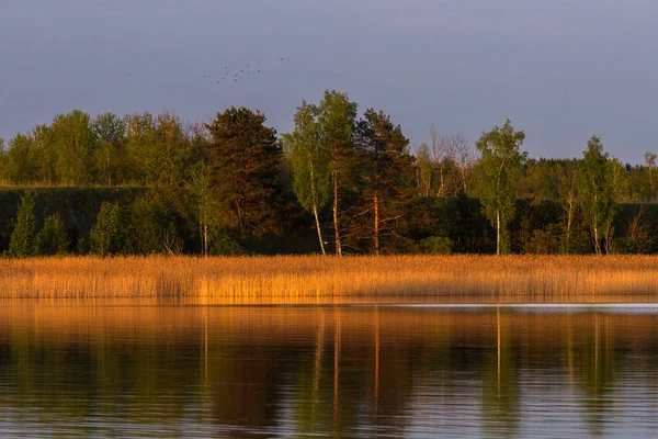 Sjö Med Moln Och Reflektioner — Stockfoto