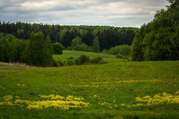 Zielone Łąki Chmurami — Zdjęcie stockowe