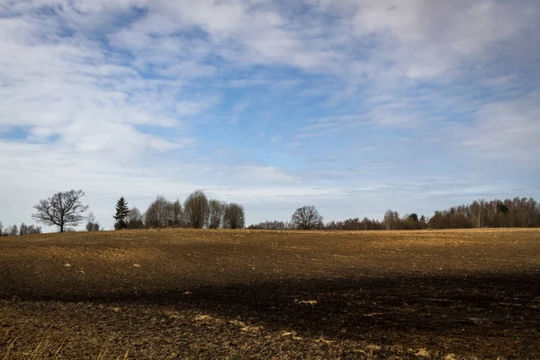 Fields Clouds Early Springtime — Stock Photo, Image