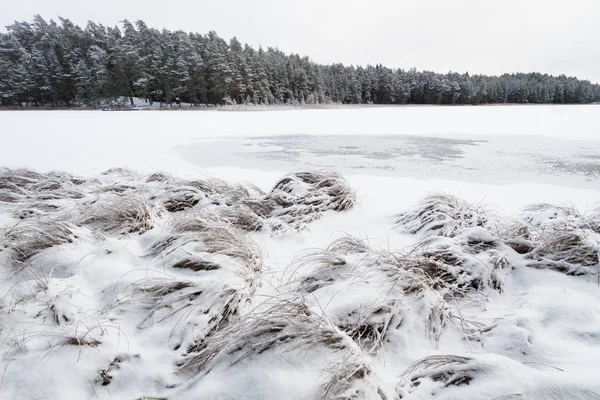 Lac Gelé Hiver — Photo