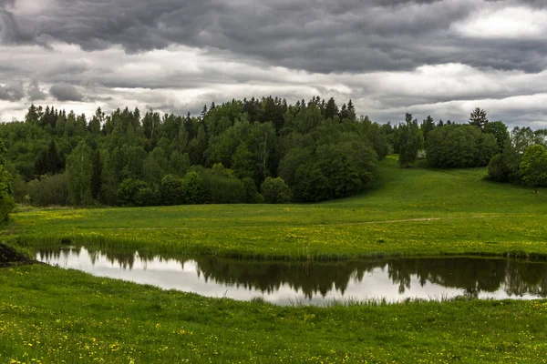 Grüne Wiesen Mit Wolken — Stockfoto