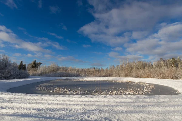 Winter Landscape Snow Covered Trees — Stock Photo, Image