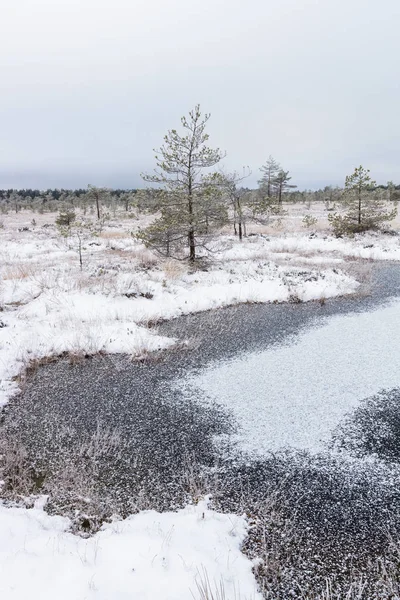 Snowy Landscape Winter Season — Stock Photo, Image