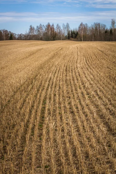 Felder Und Wiesen Mit Wolken Zeitigen Frühling — Stockfoto