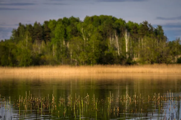 Piękny Krajobraz Północny Letni Dzień — Zdjęcie stockowe
