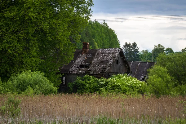 Oude Verlaten Gebouwen Groen Bos — Stockfoto