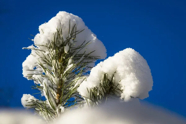 Sneeuw Lucht Met Wolken — Stockfoto